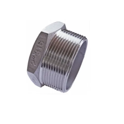 Socket weld Plug Fittings